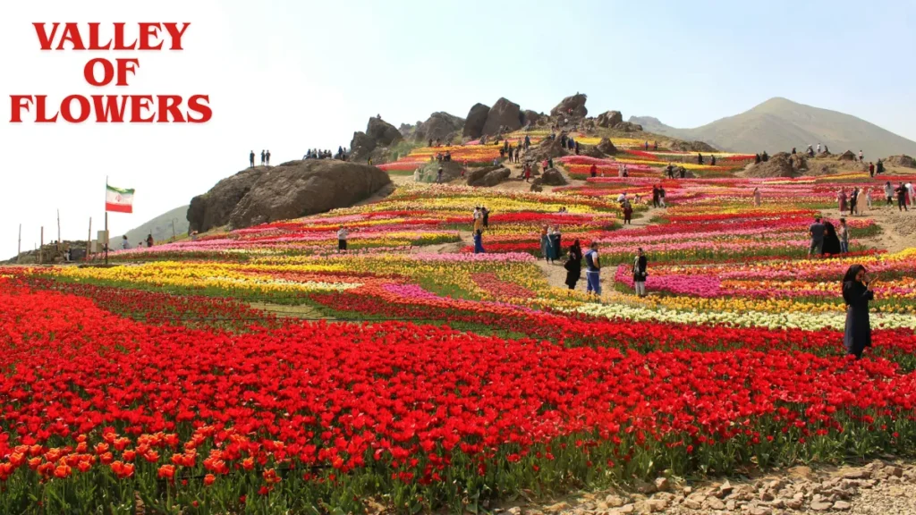 valley of flowers national park information