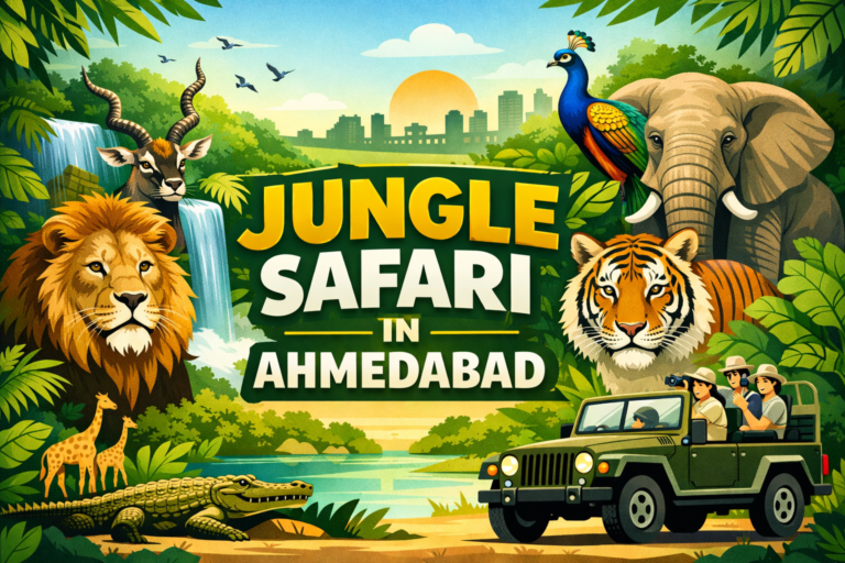 Jungle Safari in Ahmedabad